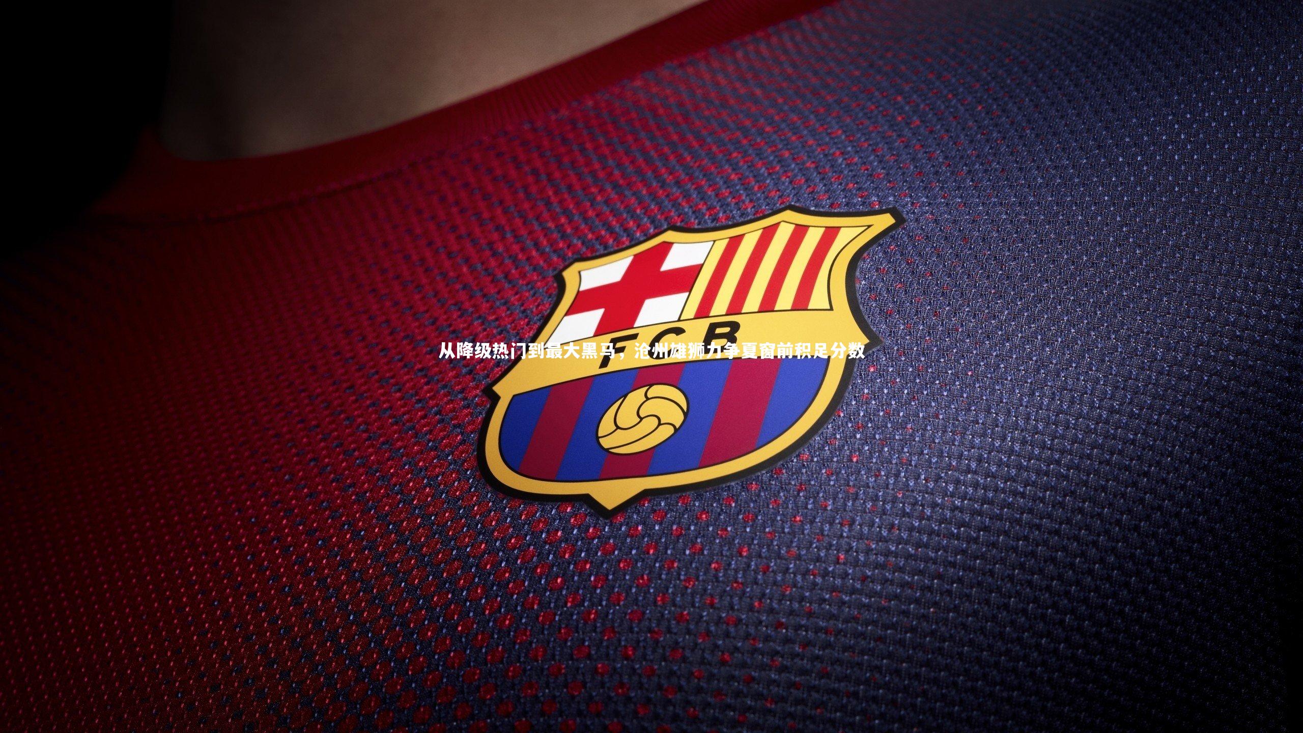 从降级热门到最大黑马，沧州雄狮力争夏窗前积足分数