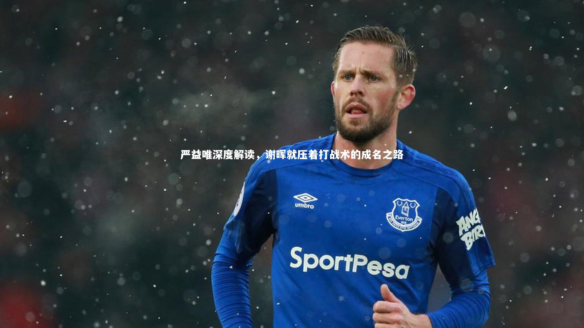 严益唯深度解读,谢晖就压着打战术的成名之路